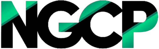 Partner 10